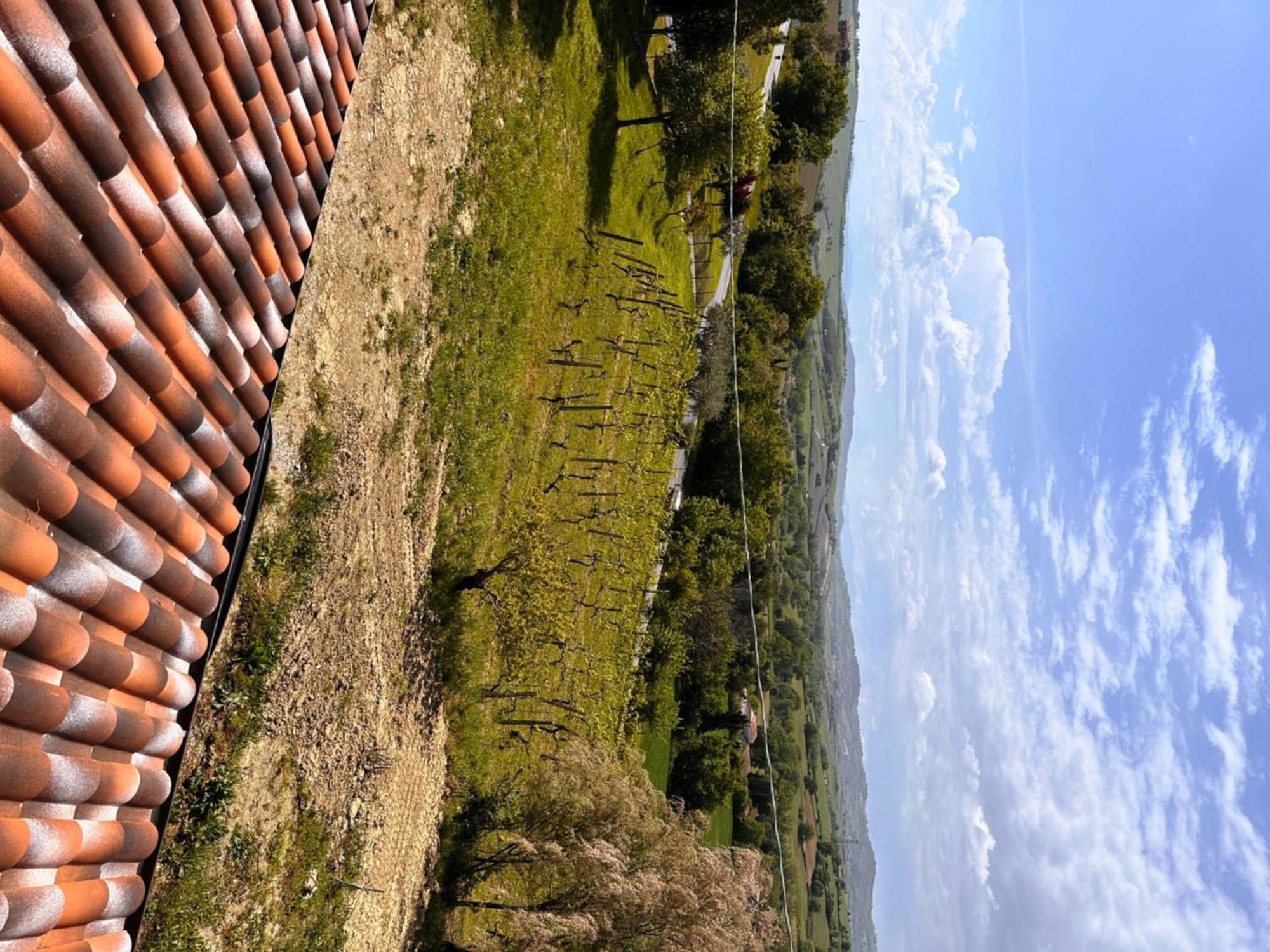 La Sosta Di Guido A Tavullia Bed & Breakfast Luaran gambar
